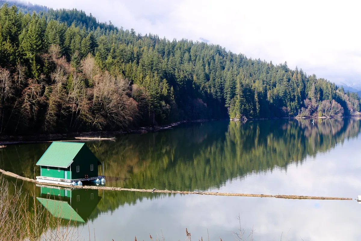 Floating wooden cabin on a forested river